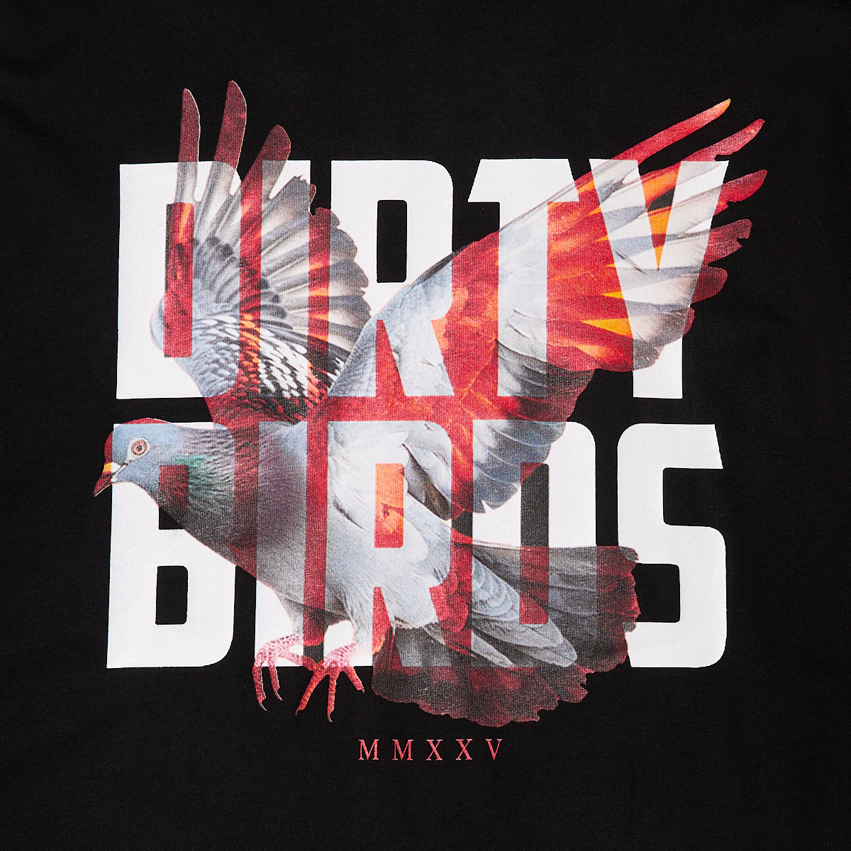 Racing Pigeon Tee